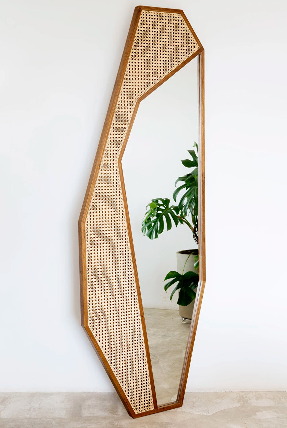 Cactus Mirror