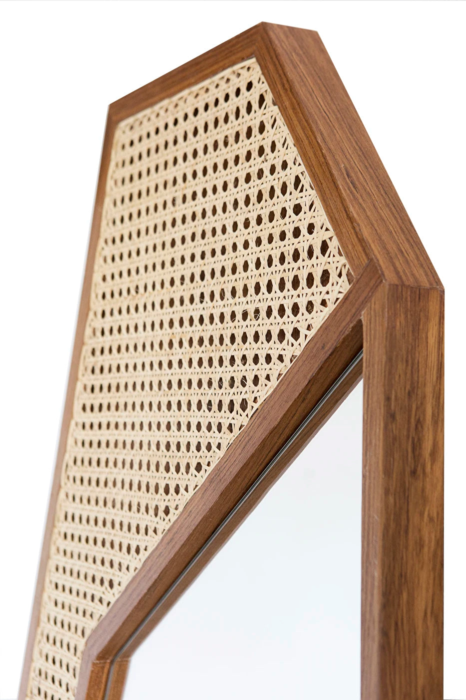 Cactus Mirror