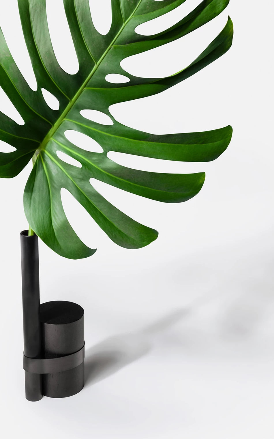 Pós-Tropical Vase