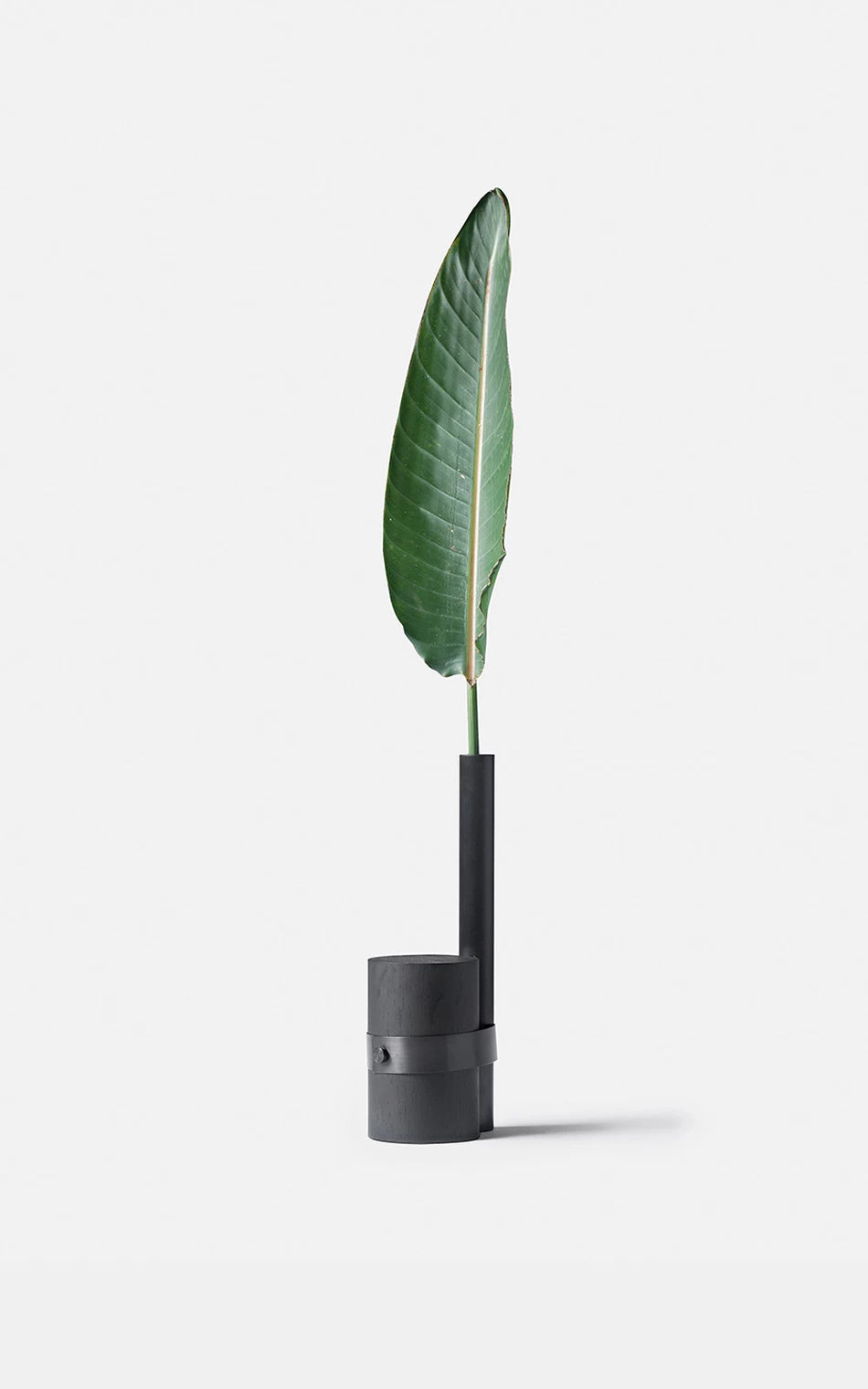 Pós-Tropical Vase