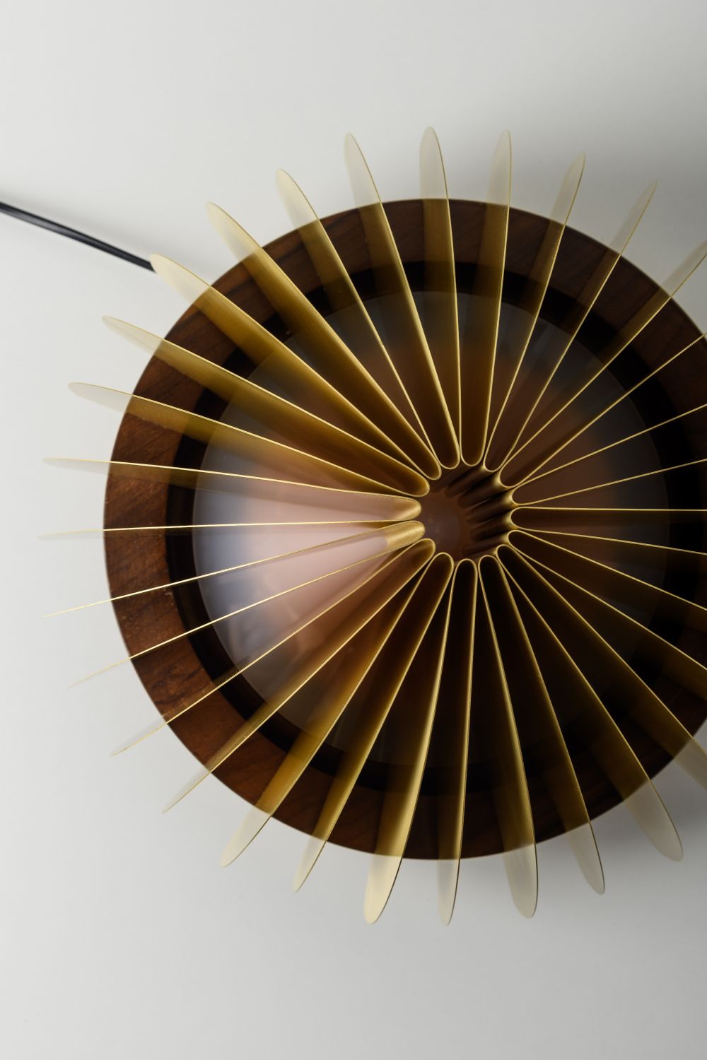 Pitanga Table Lamp