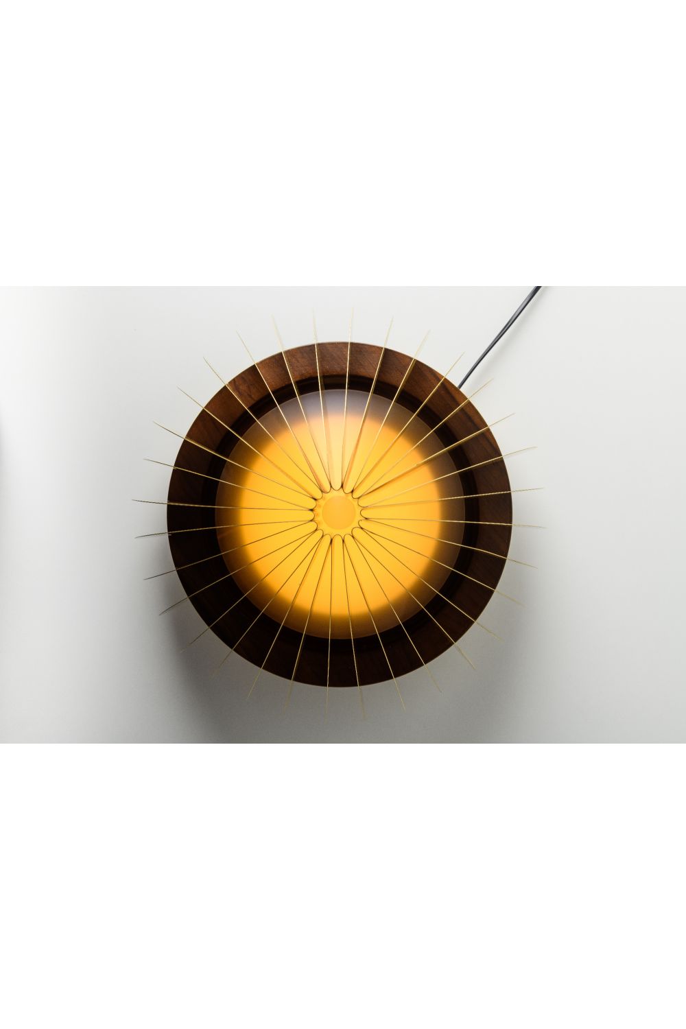 Pitanga Table Lamp