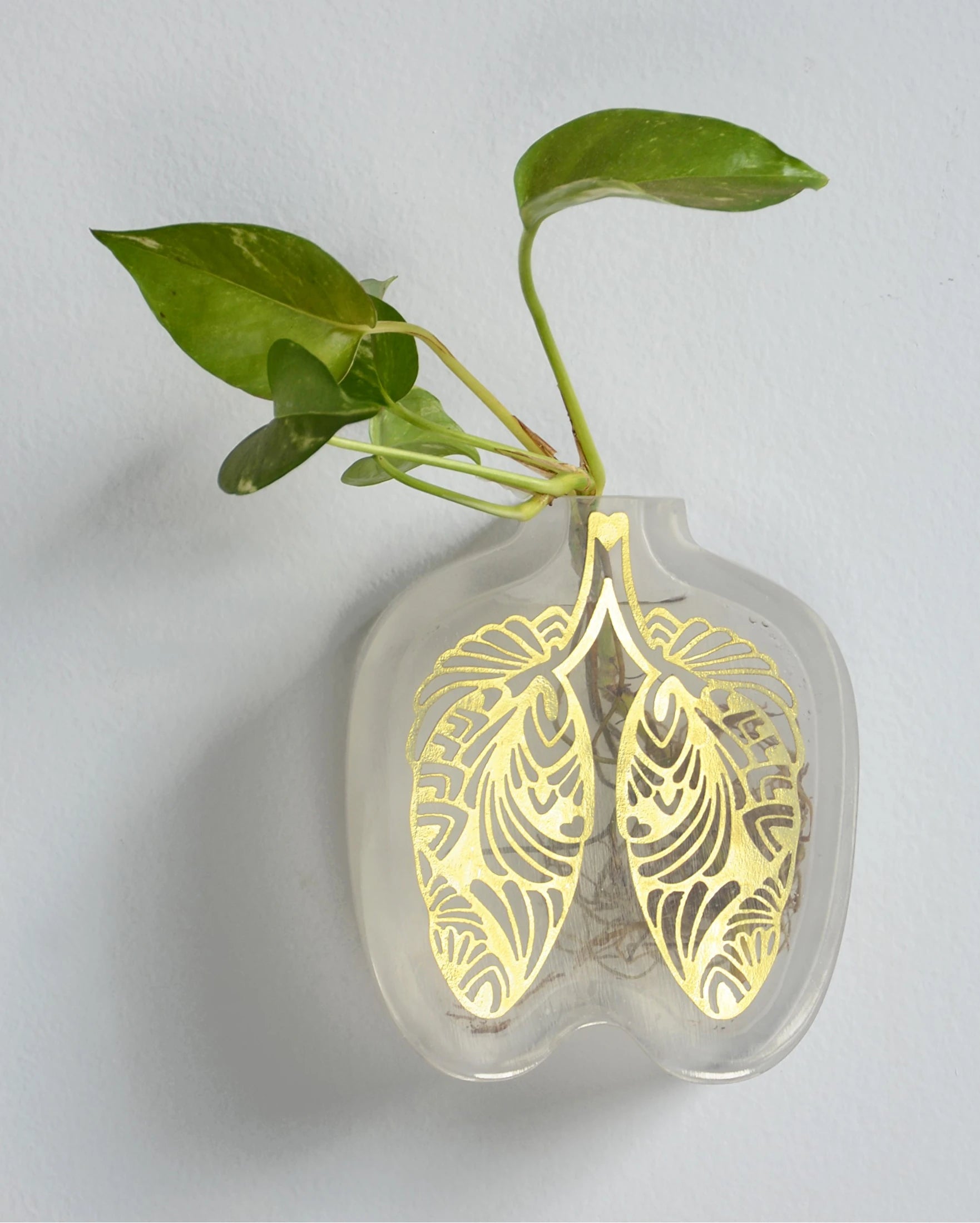 Pulmão Vase