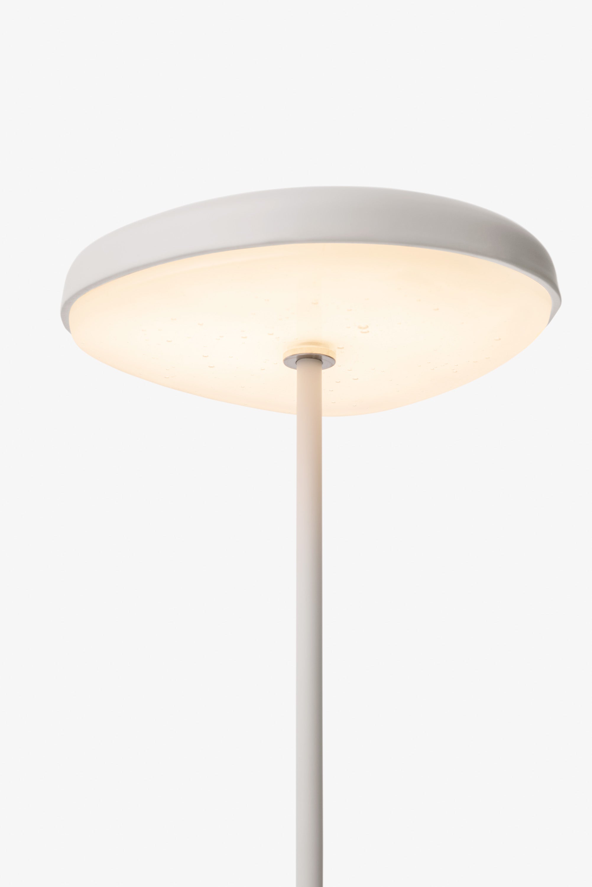 Fungi Table Lamp #1