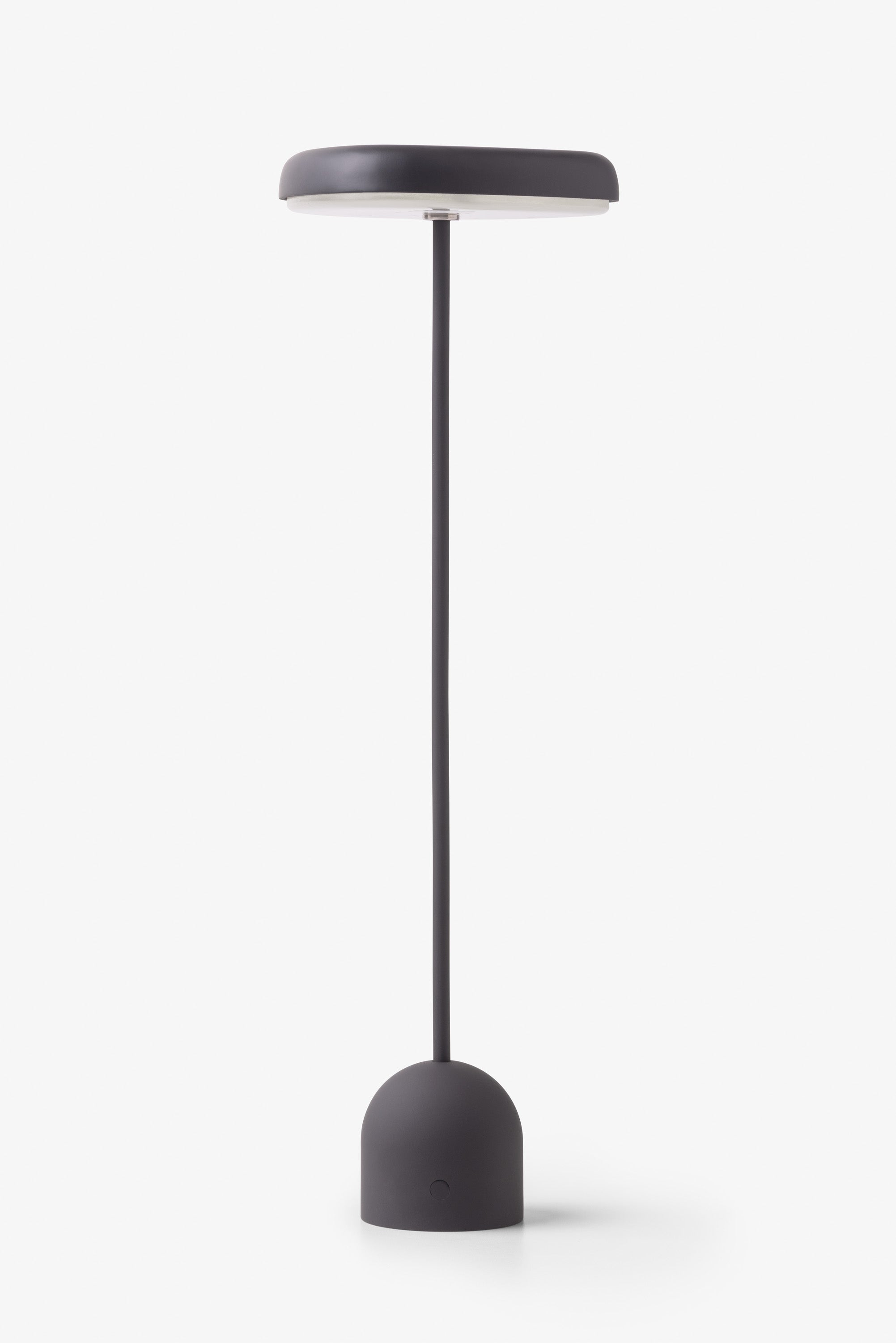 Fungi Table Lamp #1