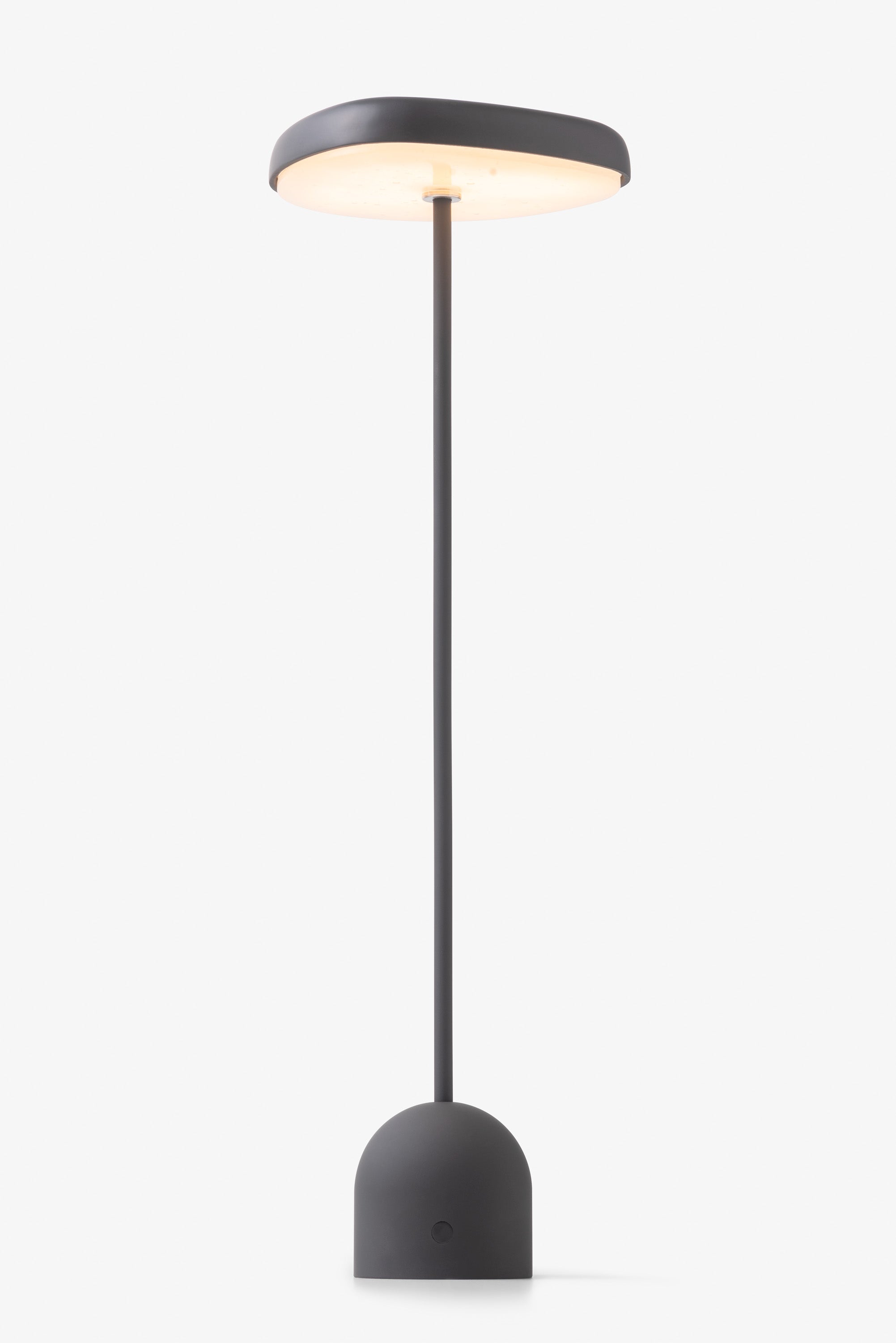 Fungi Table Lamp #1