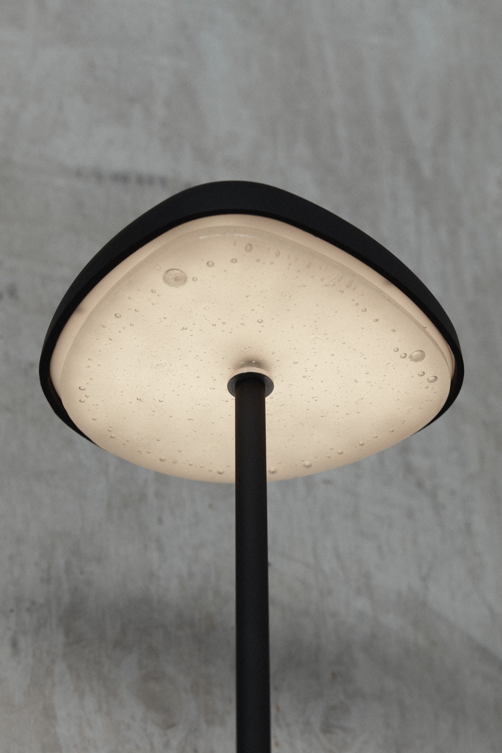 Fungi Table Lamp #1