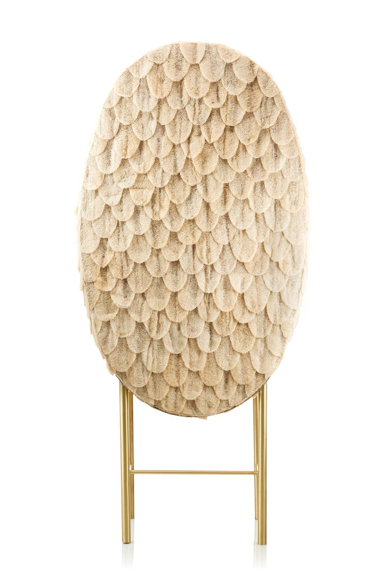 Luffa Cabinet.