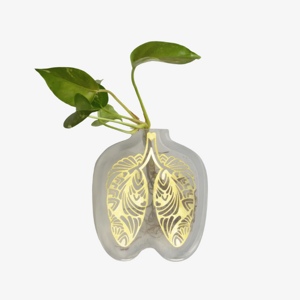 Pulmão Vase