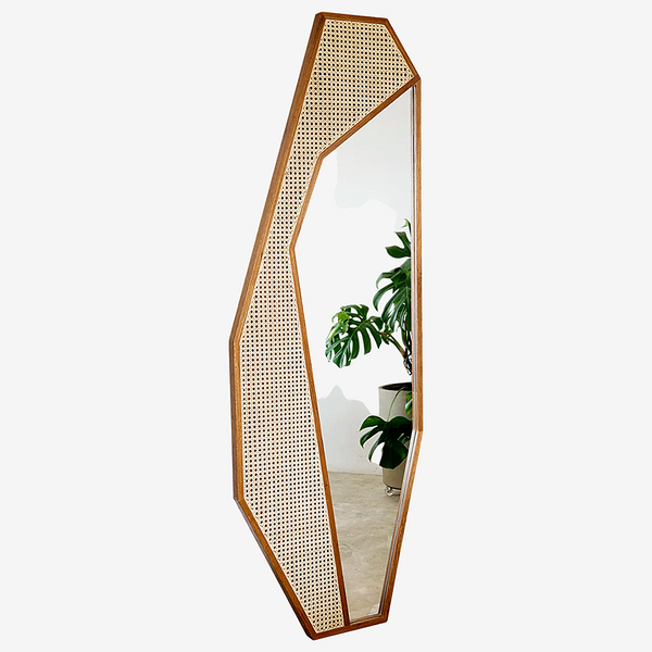 Cactus Mirror