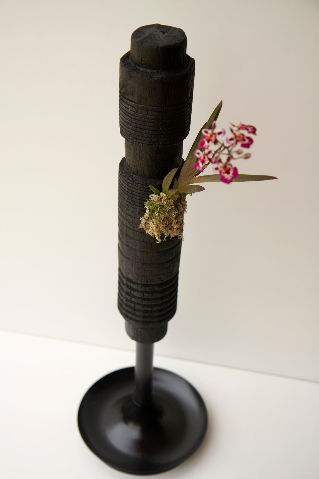 Carbono 17 - ArteKura
