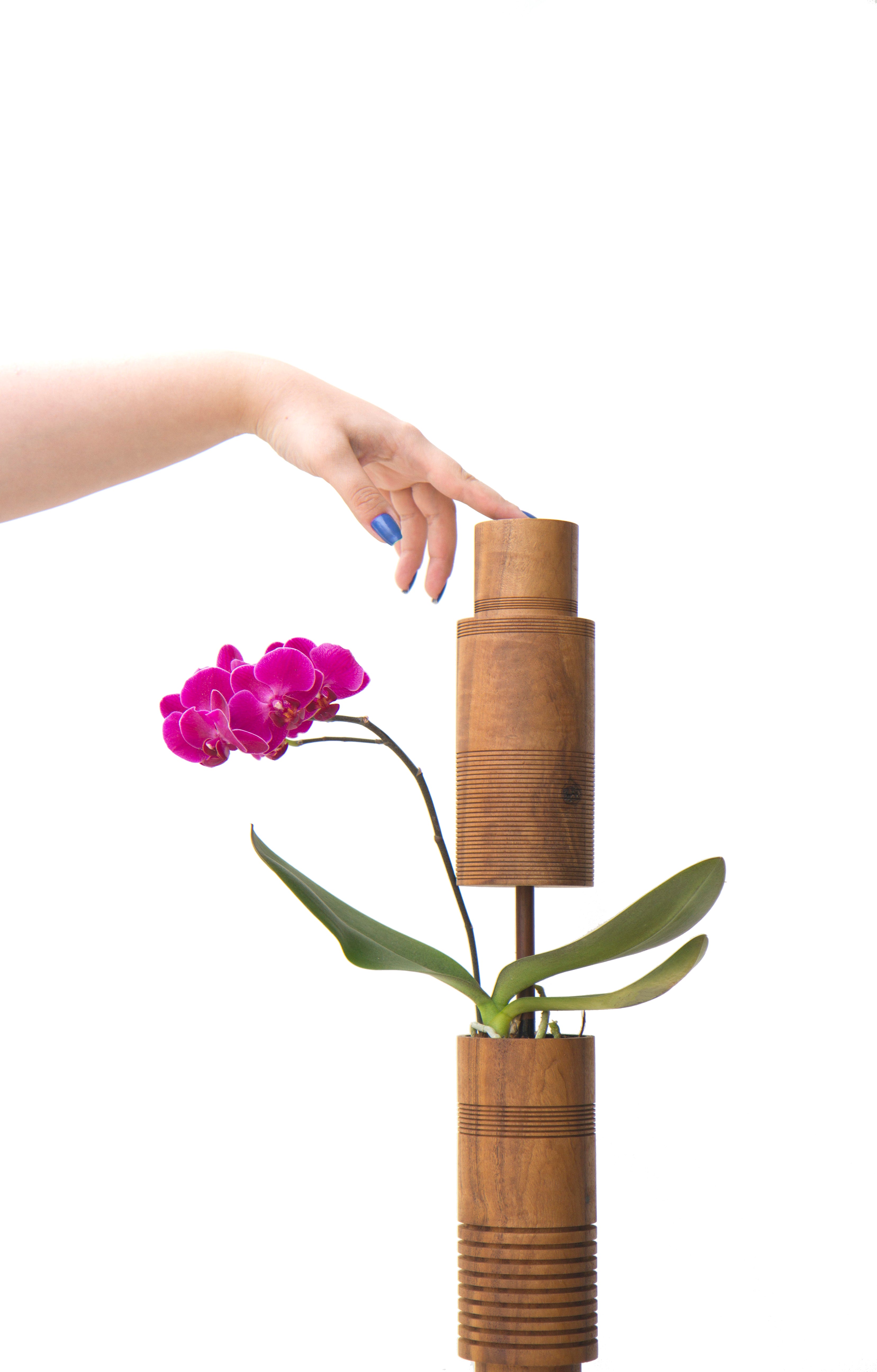 Carboneto 17 Vase