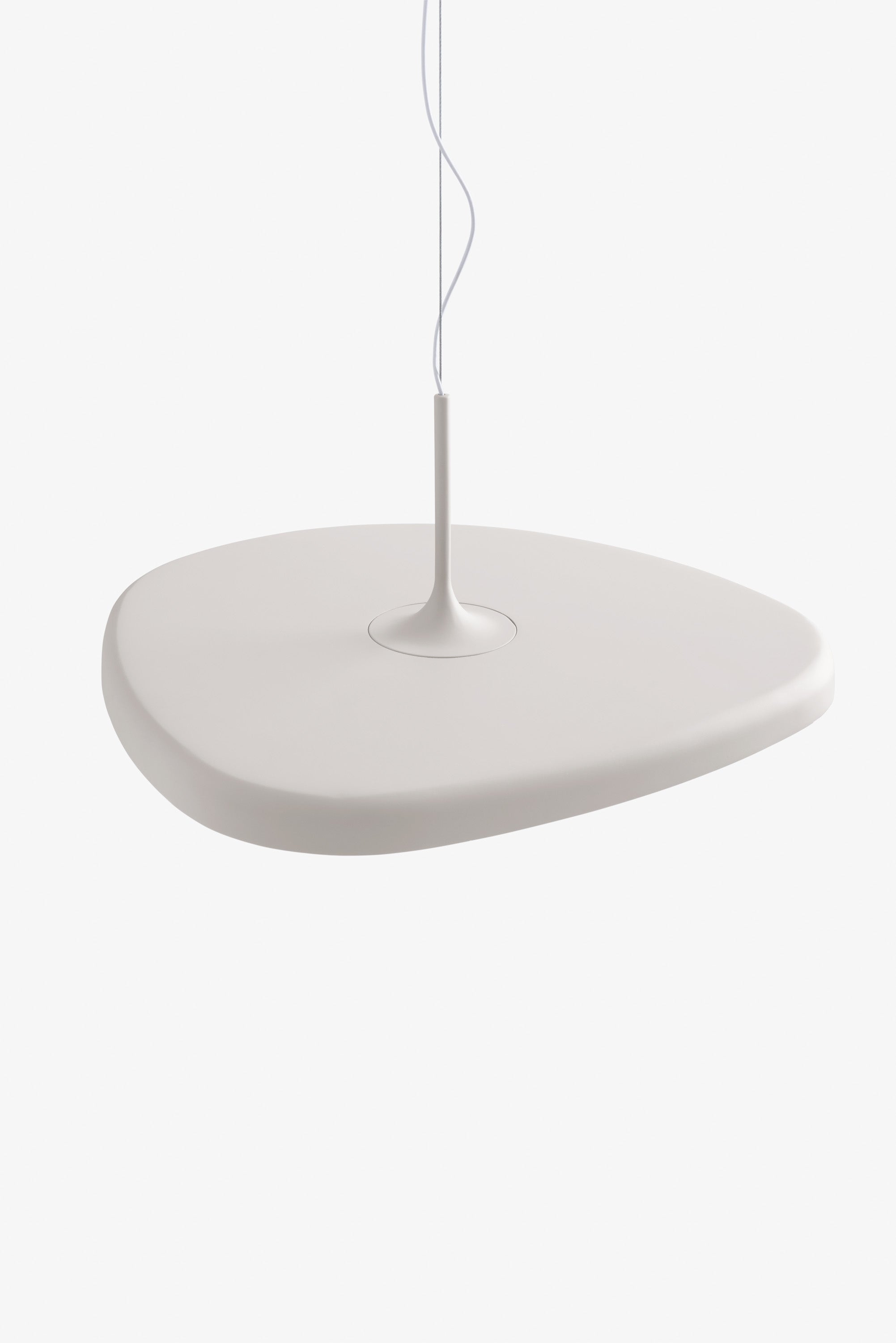 Fungi Pendant
