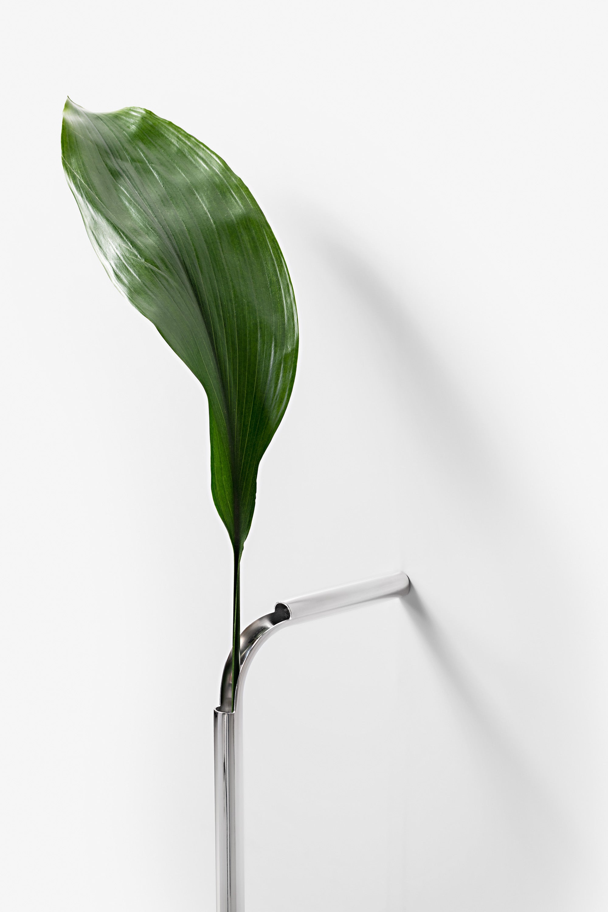 Solo Vase (Frete Grátis)