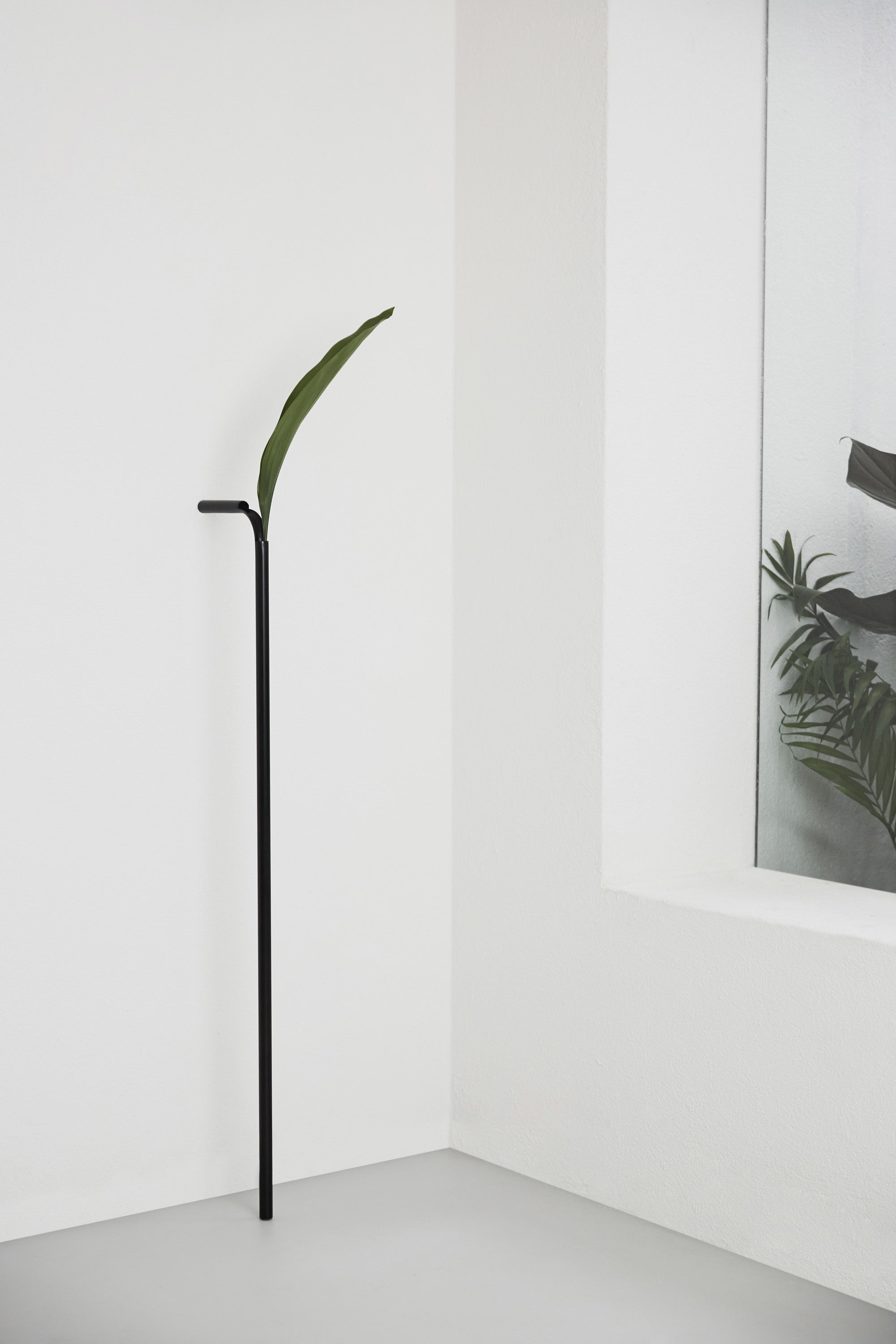 Solo Vase (Frete Grátis)