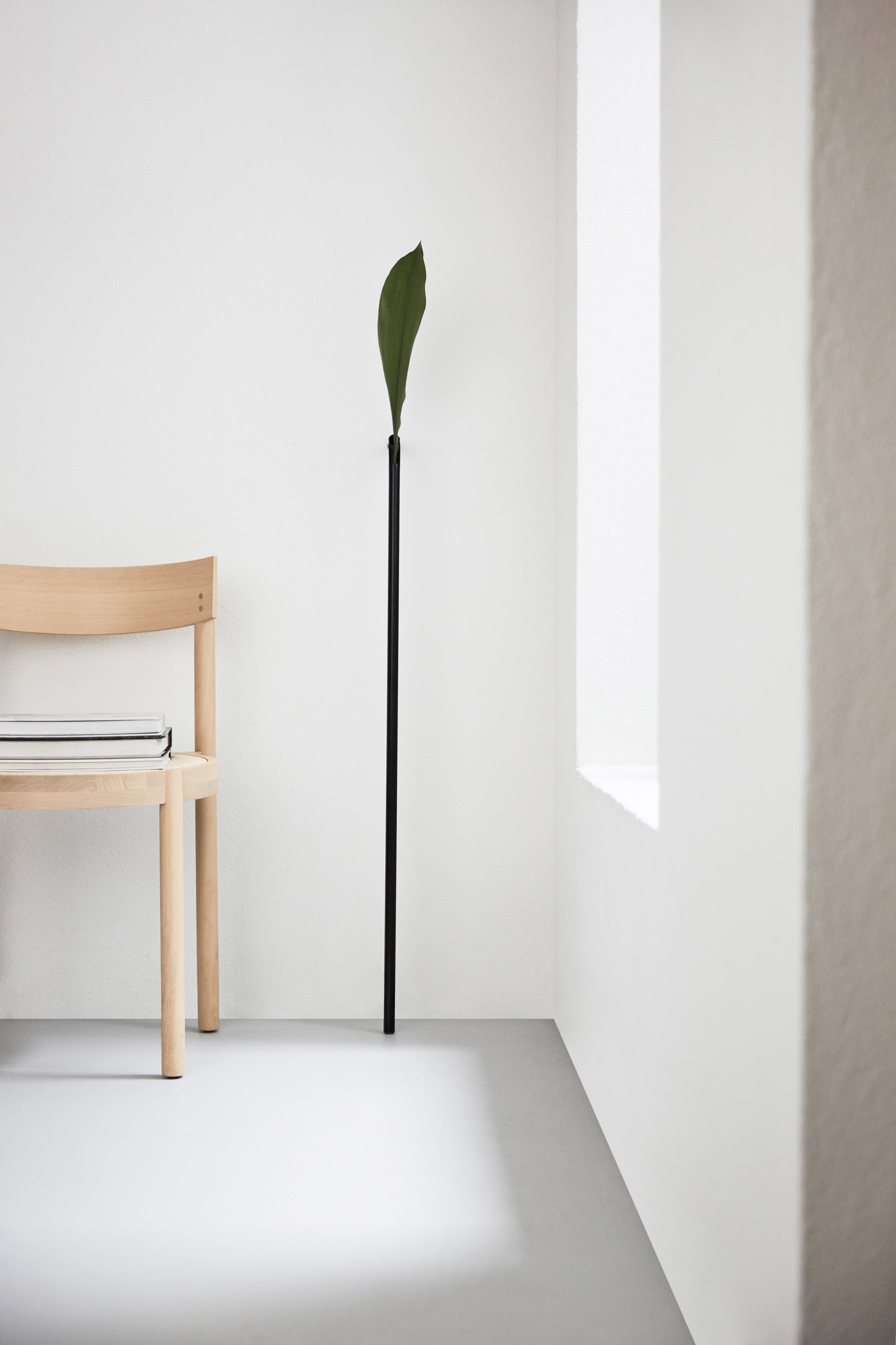Solo Vase (Frete Grátis)